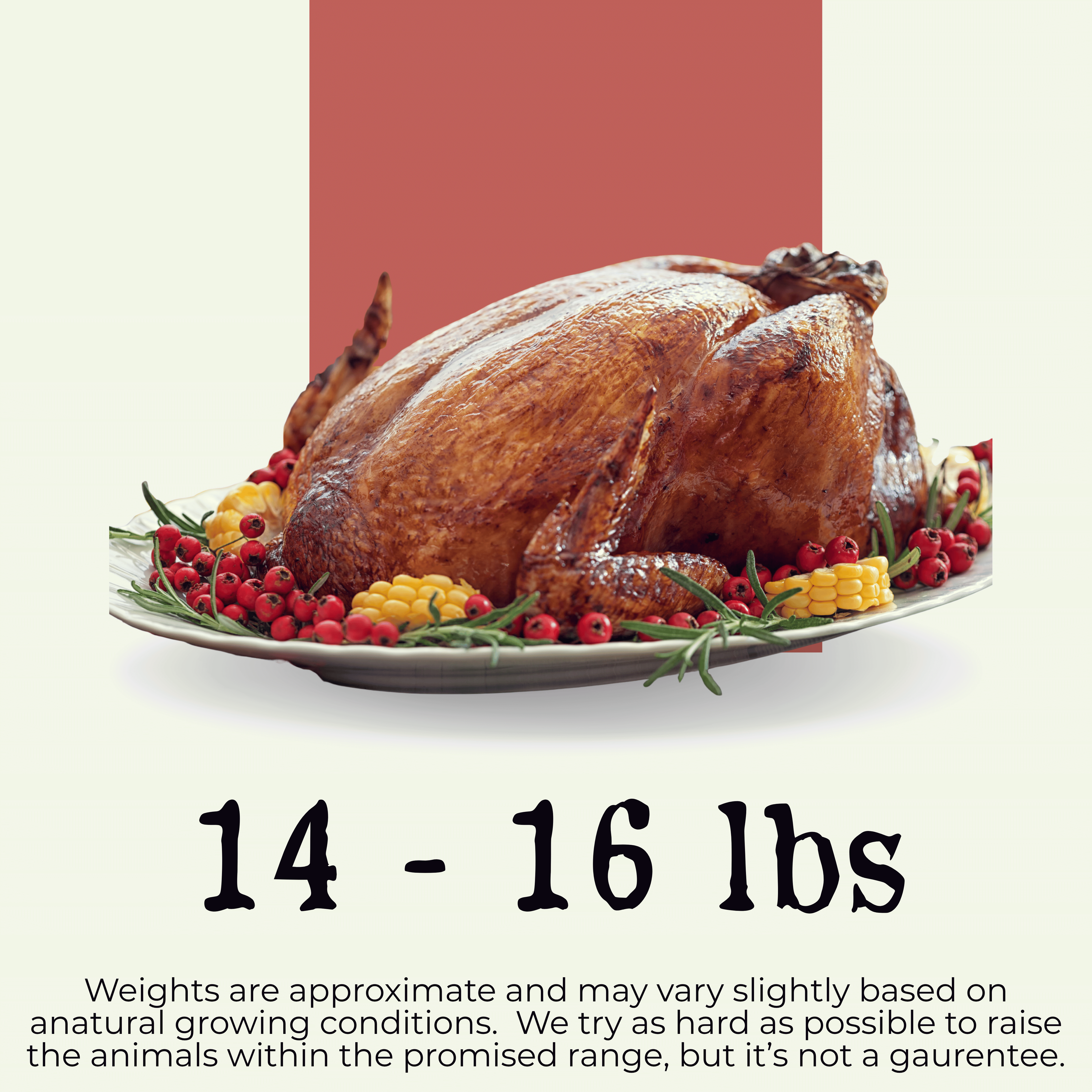 (Pre-Order) Turkey, Thanksgiving