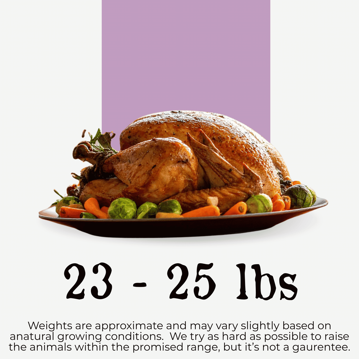 (Pre-Order) Turkey, Thanksgiving