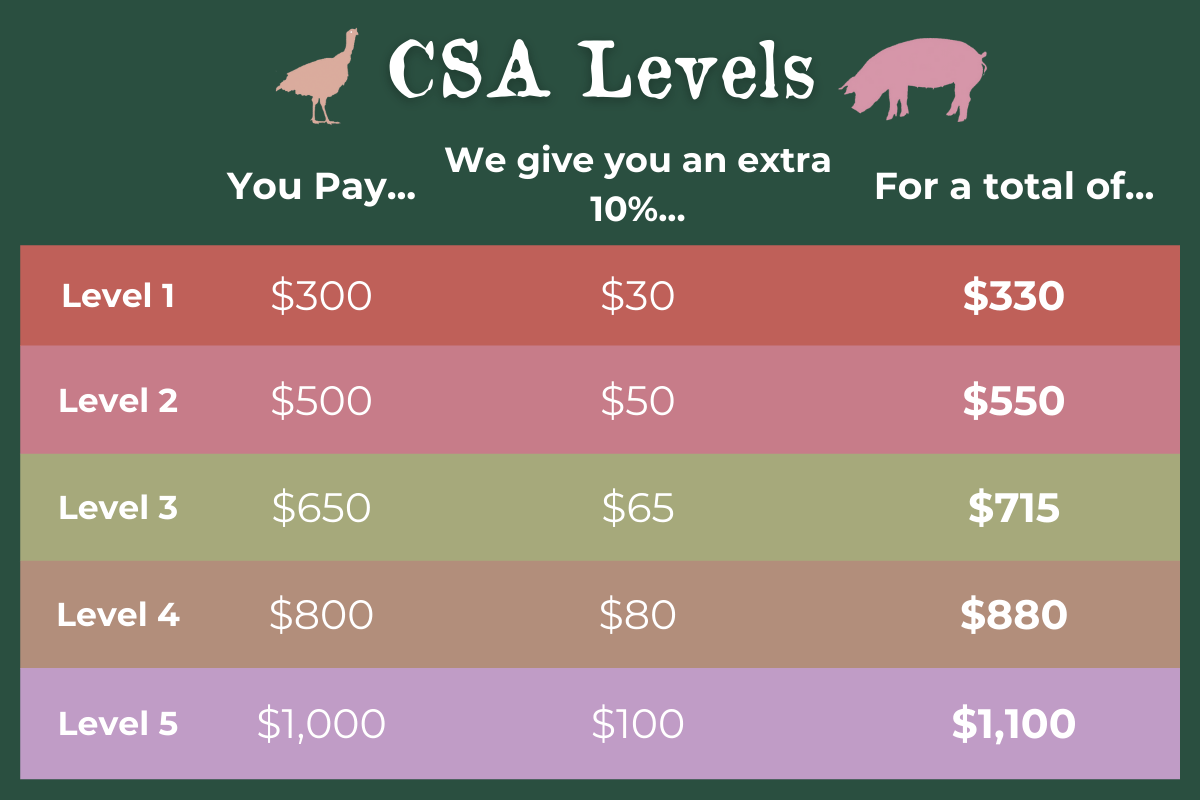CSA Share - Fall/Winter