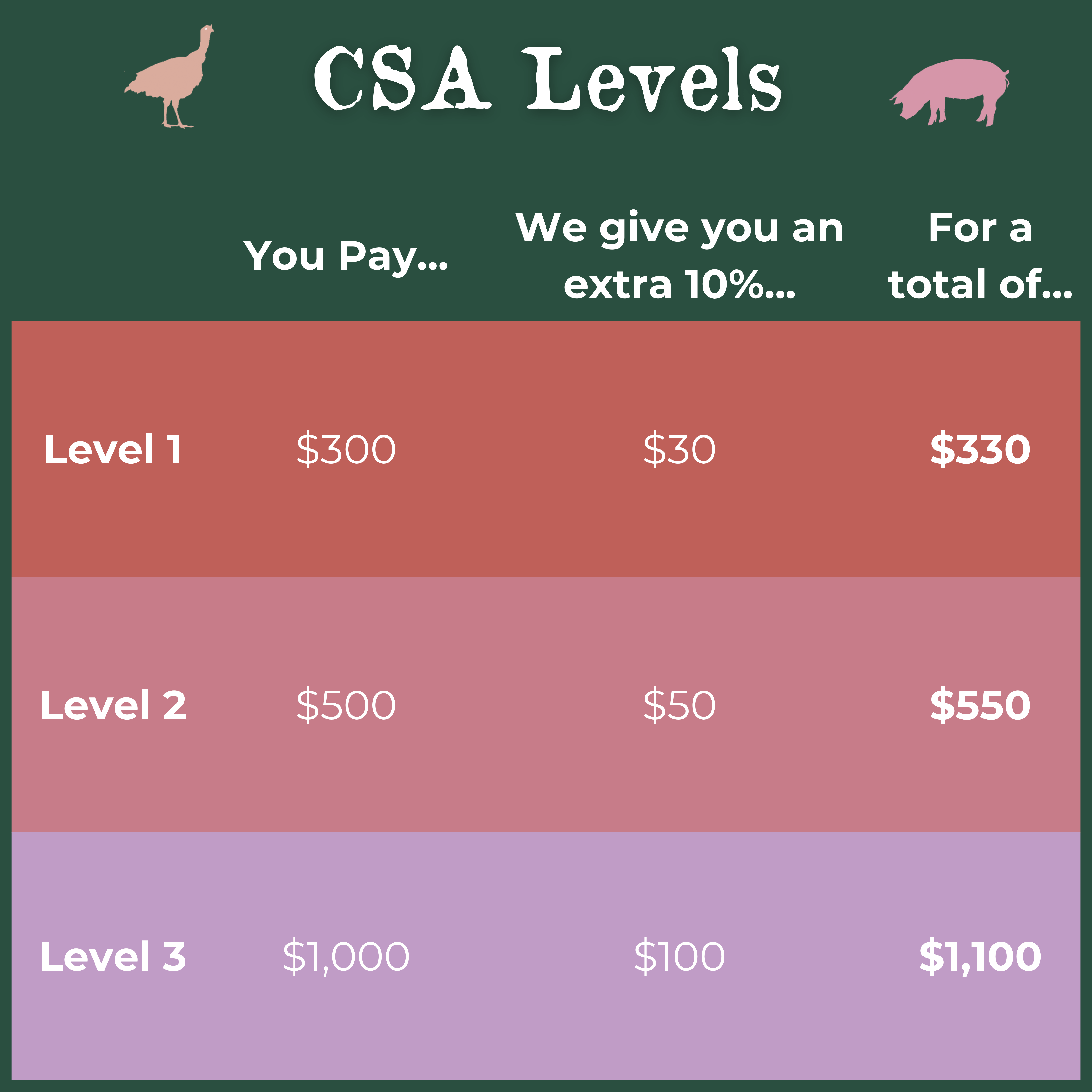 CSA Share - Fall/Winter