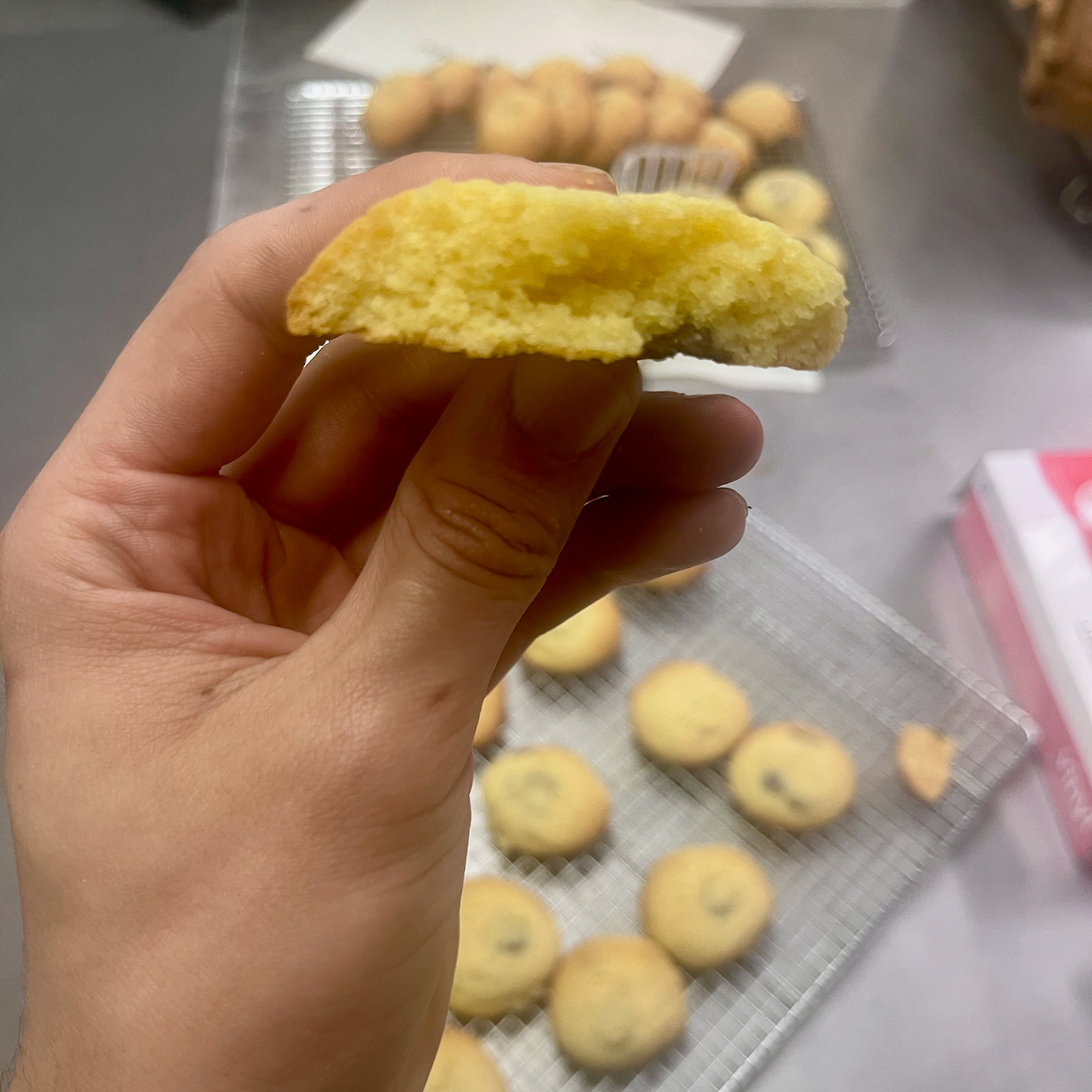 Cookies, Chocolate Chip Tallow