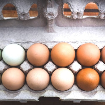 GET a Dozen, GIVE a Dozen - Donation Program