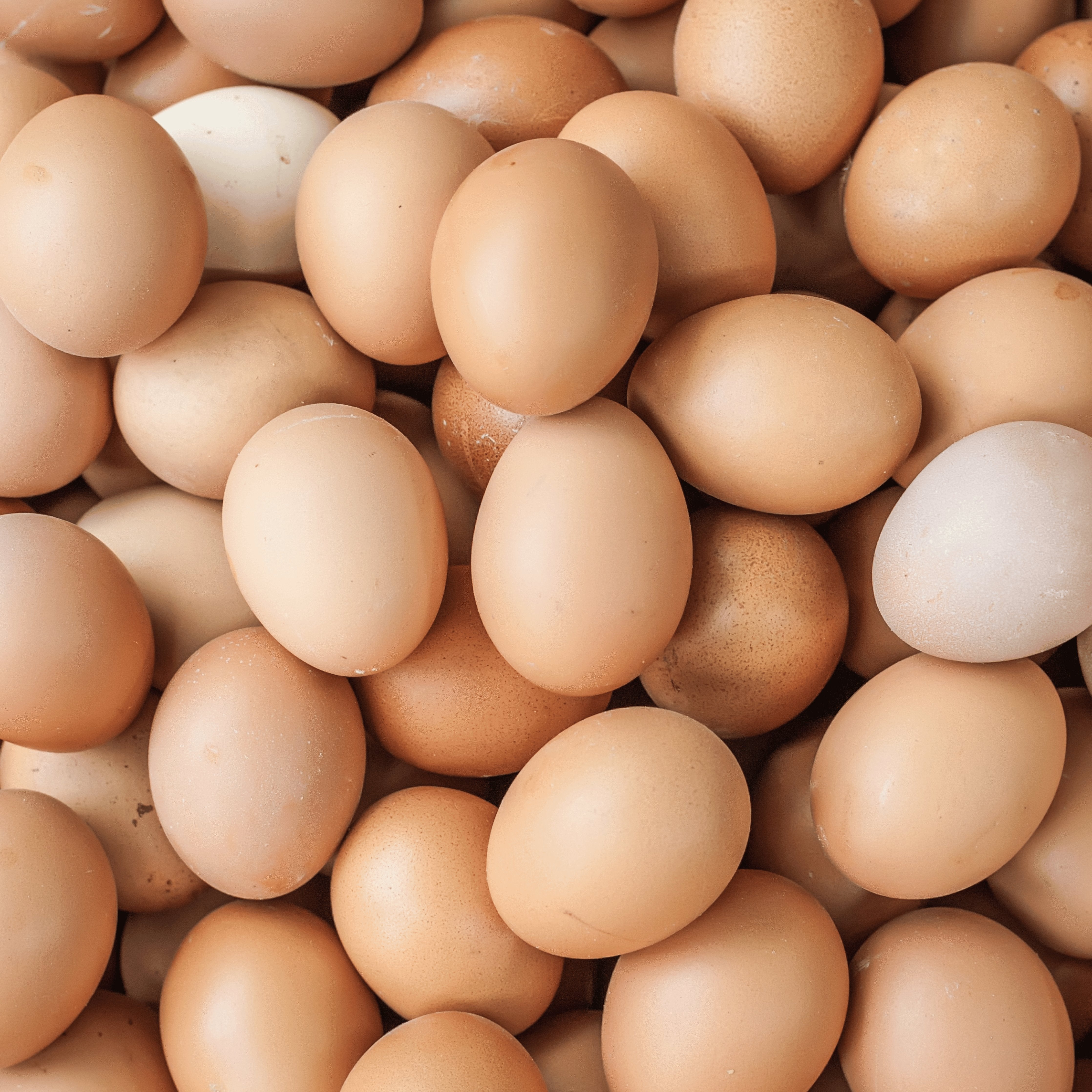 Eggs