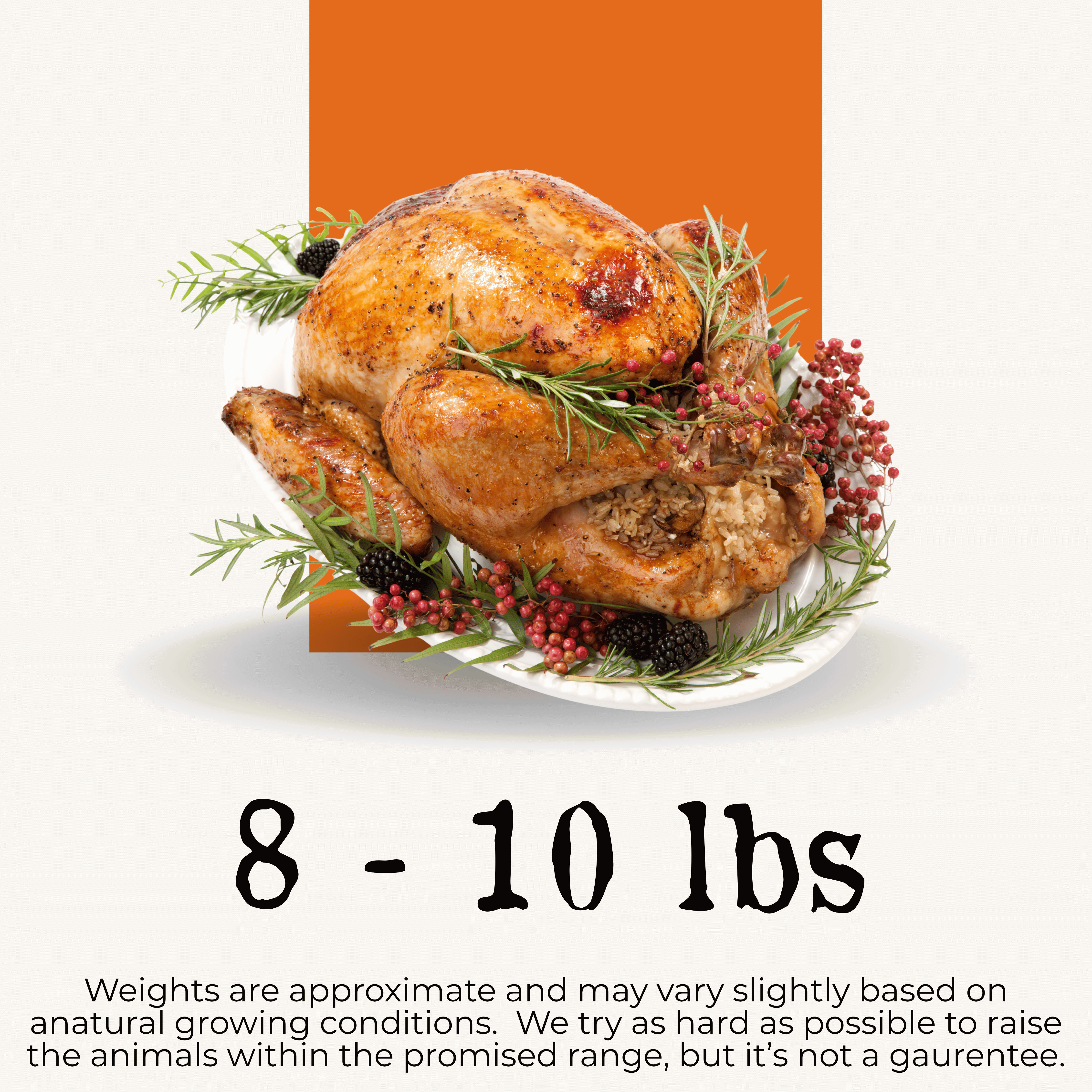 (Pre-Order) Turkey, Thanksgiving