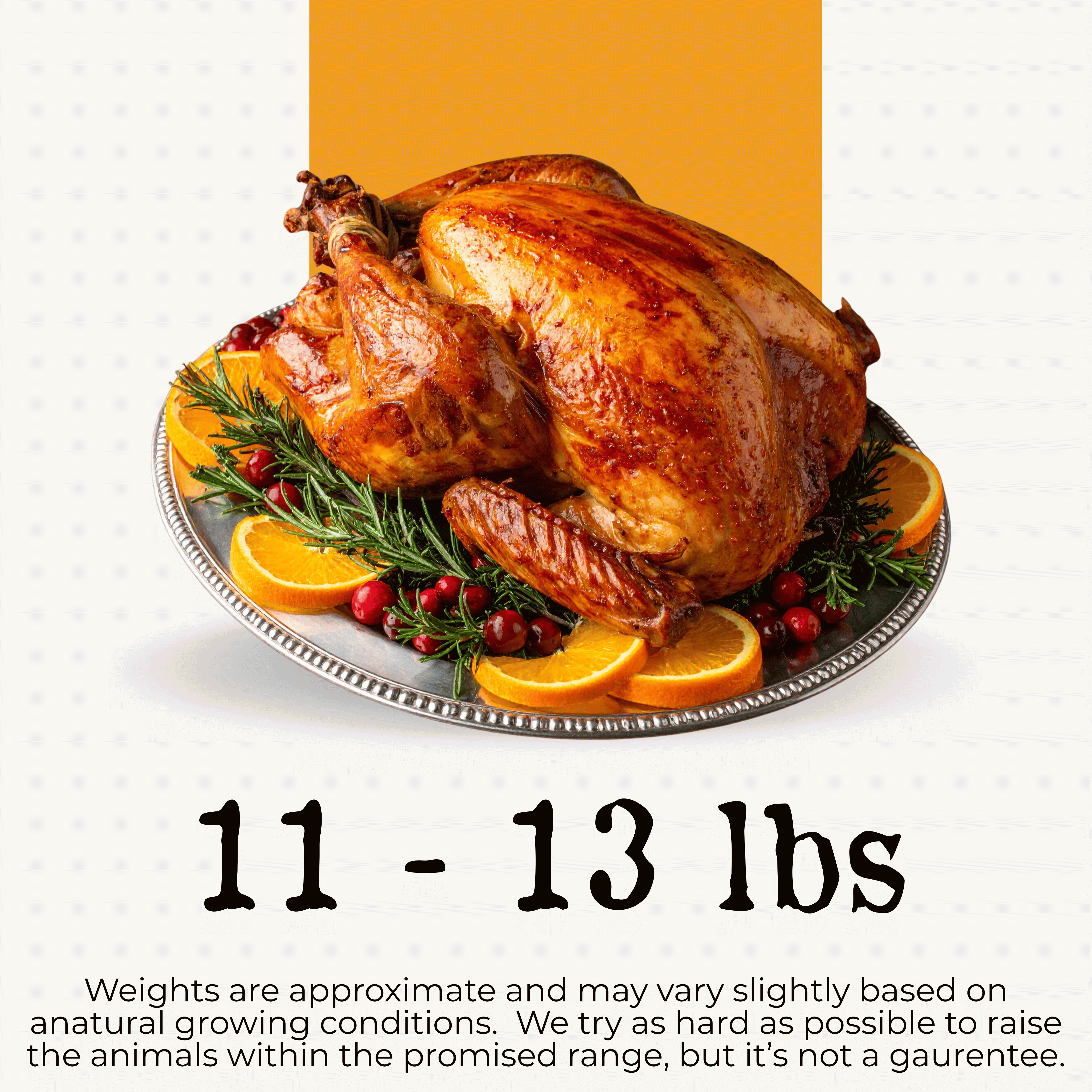 (Pre-Order) Turkey, Thanksgiving