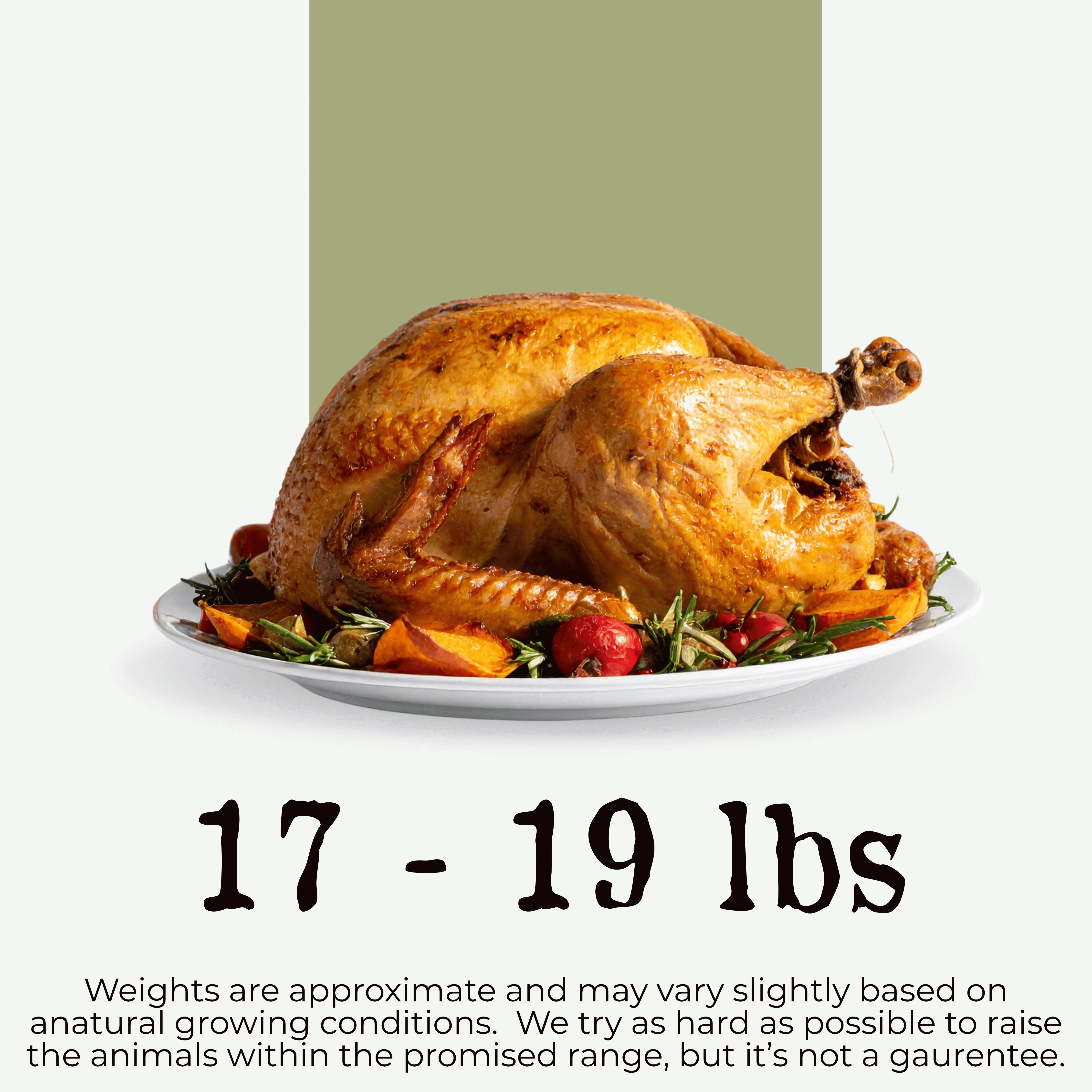 (Pre-Order) Turkey, Thanksgiving