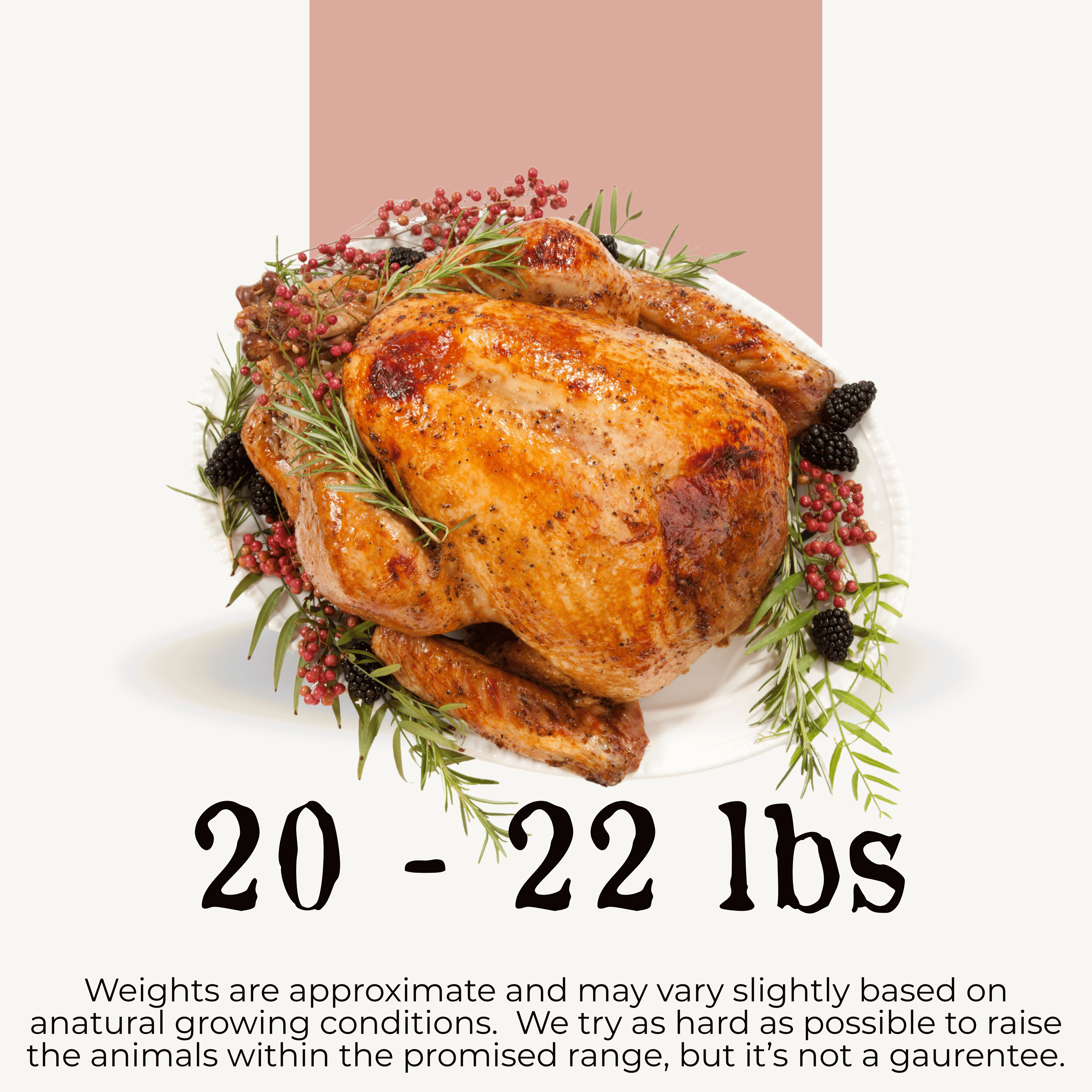 (Pre-Order) Turkey, Thanksgiving