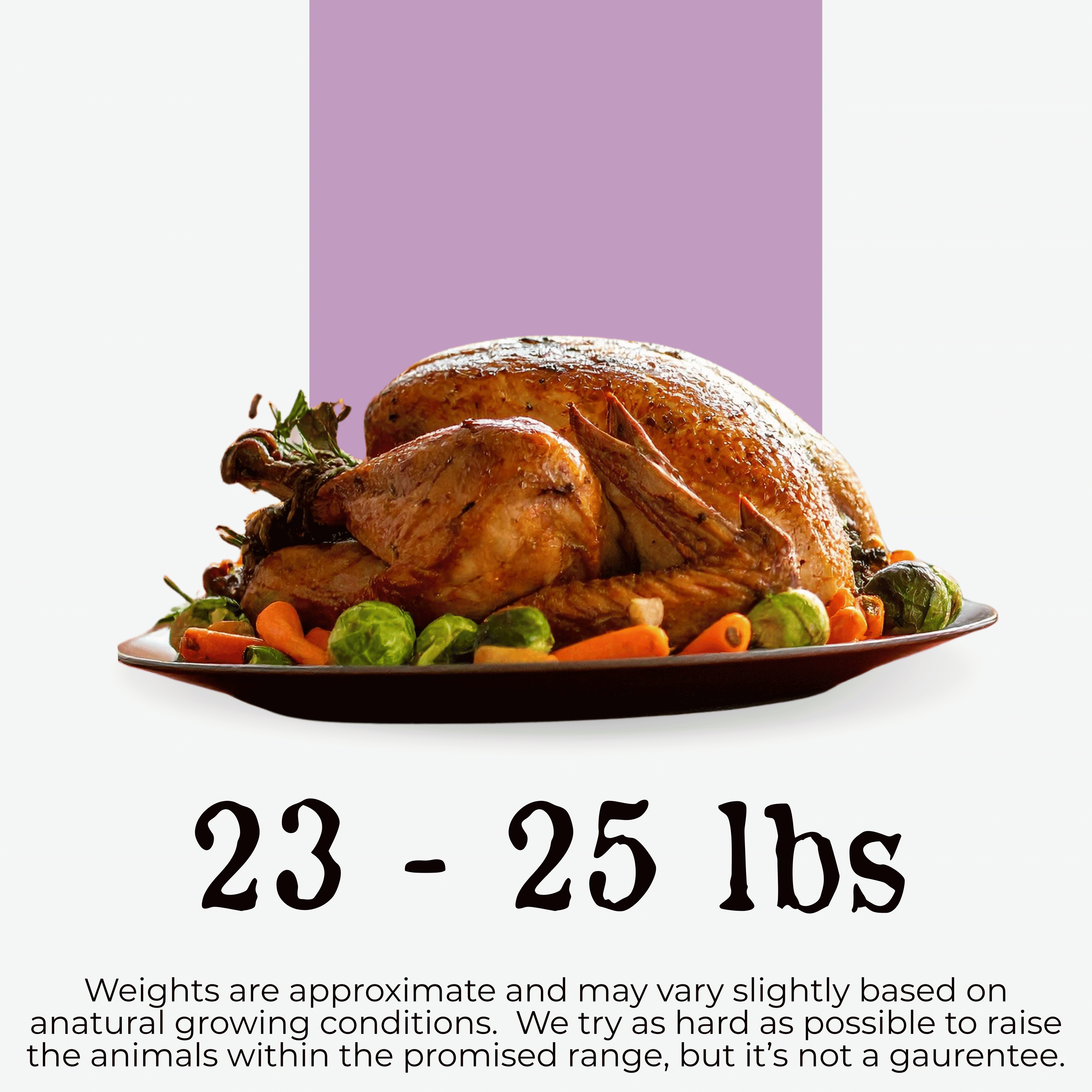 (Pre-Order) Turkey, Thanksgiving