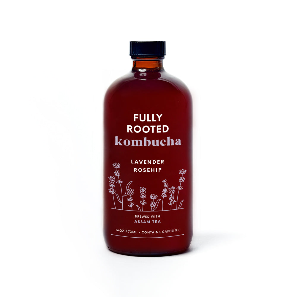 Kombucha, Lavender Rose Hip