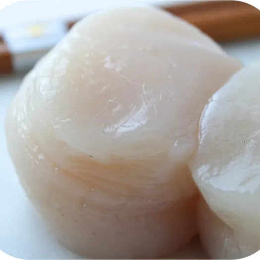 Scallops